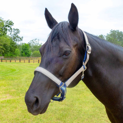 Jeffers Poplar Head Padded Halter and Matching Lead Set, Full