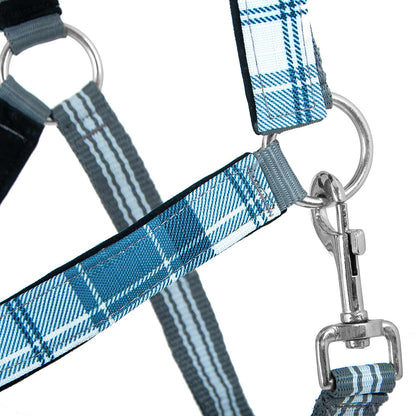 Jeffers Poplar Head Padded Halter and Matching Lead Set, Full