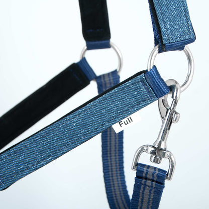 Jeffers Poplar Head Padded Halter and Matching Lead Set, Full