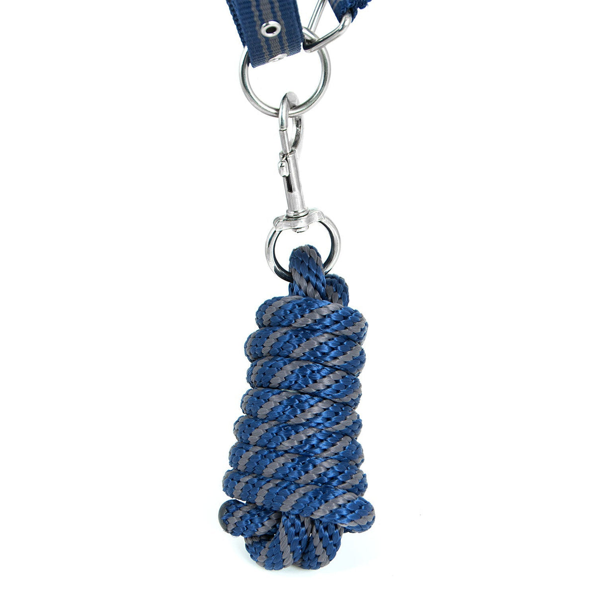Jeffers Poplar Head Padded Halter and Matching Lead Set, Full