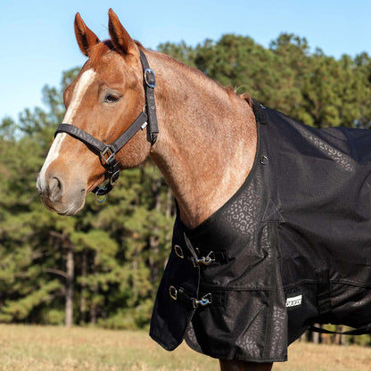Jeffers Poplar Head Padded Halter and Matching Lead Set, Full