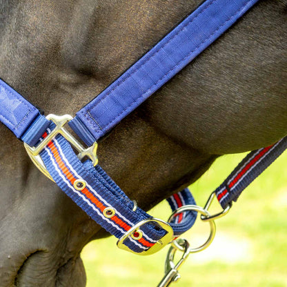 Jeffers Poplar Head Padded Halter and Matching Lead Set, Full