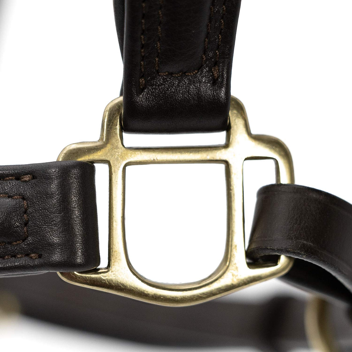 Jeffers Softie Padded Leather Halter