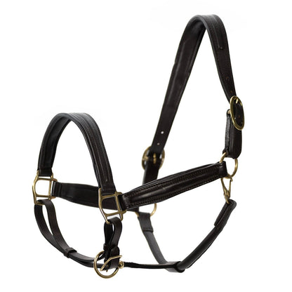 Jeffers Softie Padded Leather Halter