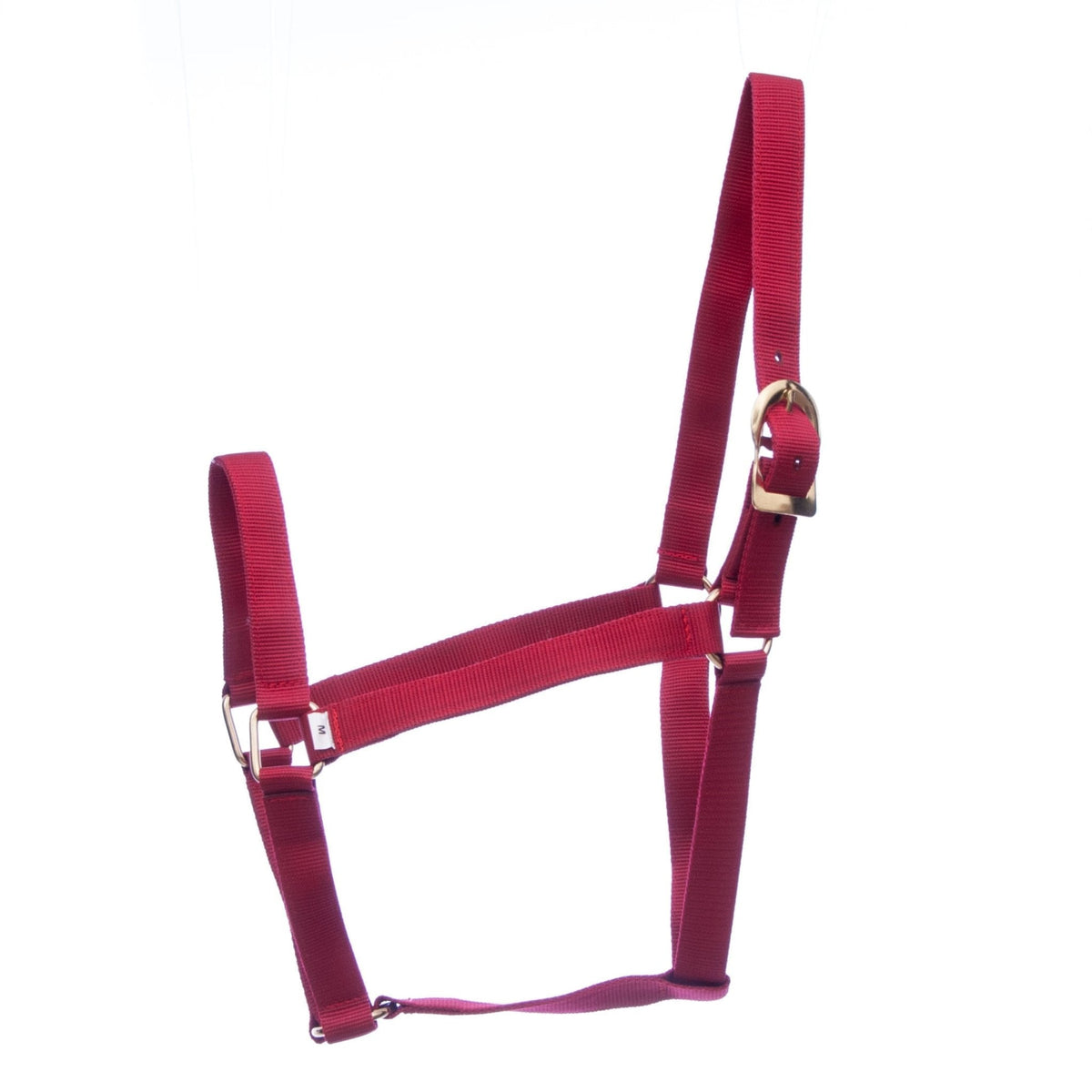 Jeffers Turnout Nylon Halter, 2 Ply, Suckling to 2 Year Old