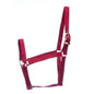 Jeffers Turnout Nylon Halter, 2 Ply, Suckling to 2 Year Old