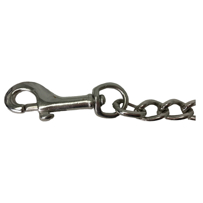 Derby Originals Crystal Inlay Leather Lead with Chain, 72 in