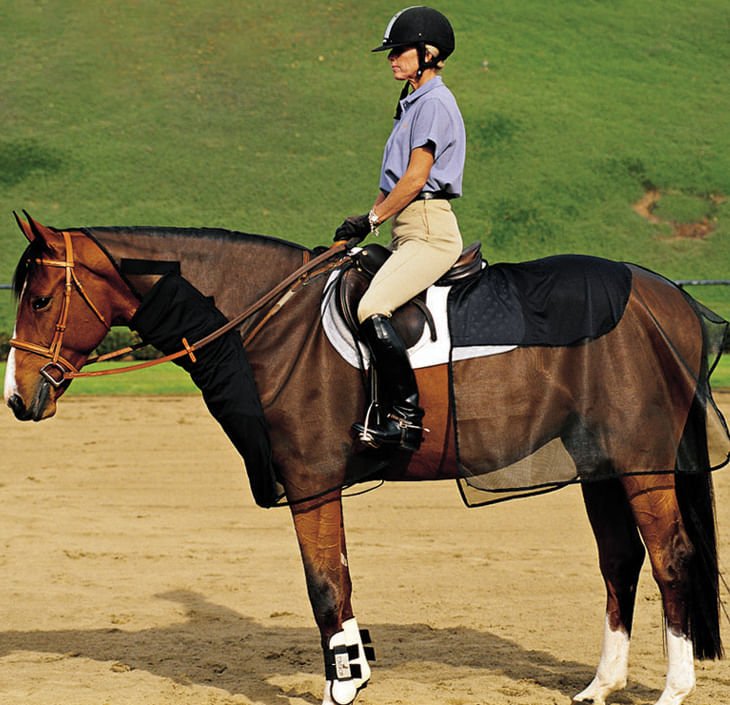 Cashel Quiet Ride Bug Armor, 2 Piece Riding Fly Set